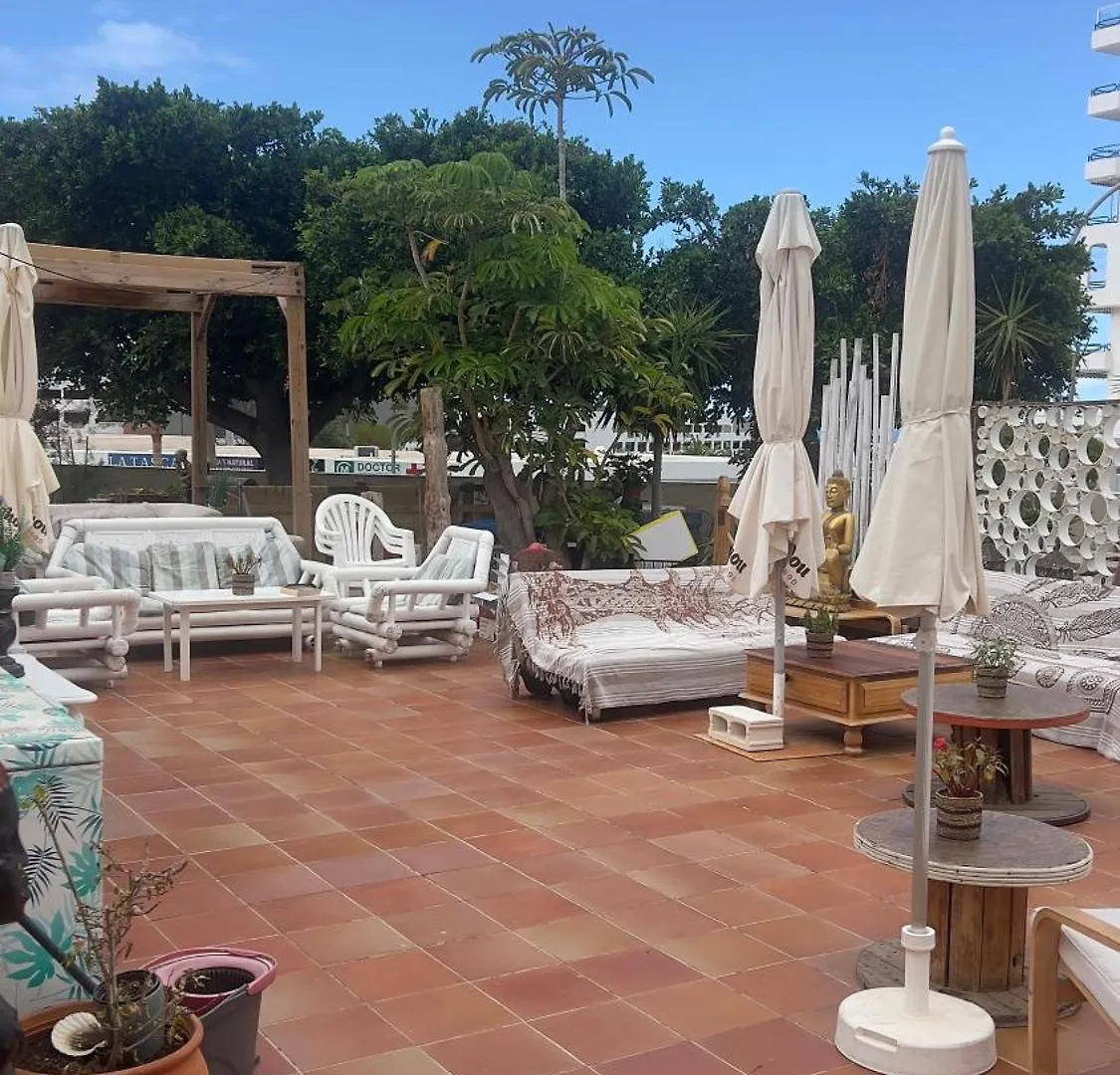 Apartment Cozy Ocean View 1 Bdr Apt, Club Paraiso Playa Paraiso